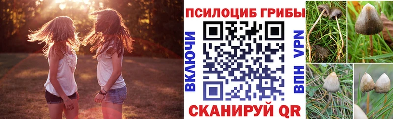 Галлюциногенные грибы Psilocybe  цены наркотик  Фролово 